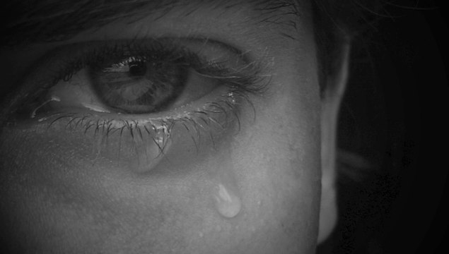 where they fall by michael hermiston (original)