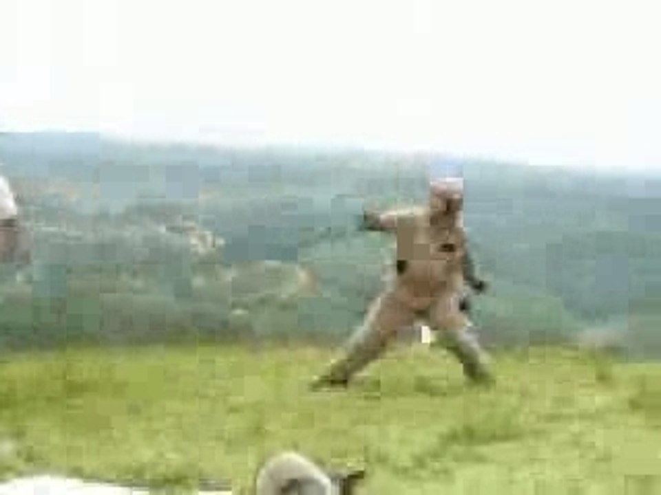 Capoeira de gaucho