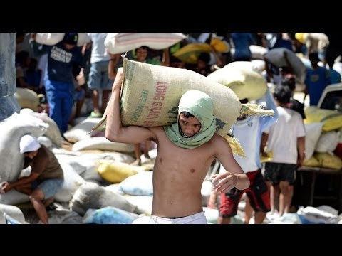 Eight crushed to death in typhoon-hit Philippines as survivors loot rice warehouse