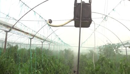 asılır tip aksu ece-10