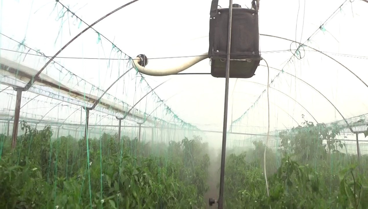 asılır tip aksu ece-10