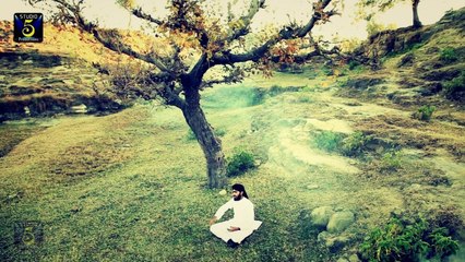 Muhammad Umar Raza Qadri - Dil To Bas Yaad-E-Nabi - Official Video