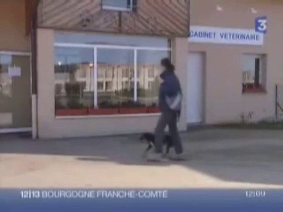 02_6-05-technique-echino-chien