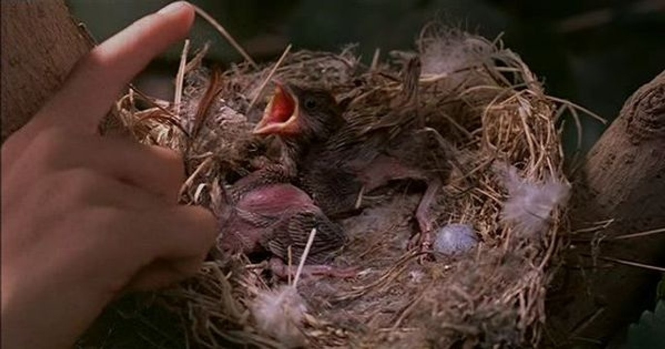 Çok Güzel Bir Video! İzlemenizi Tavsiye Ederim!