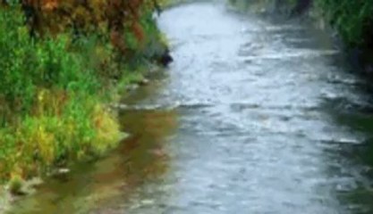 AKLIMA DÜŞTÜ..DURAK YİĞİT VİDEOSU