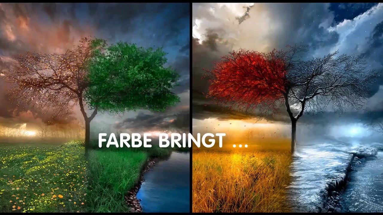 Farbspezialist Leitinger Ingolstadt ins Leben!