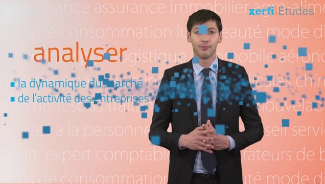 Xerfi France, Les agences bancaires