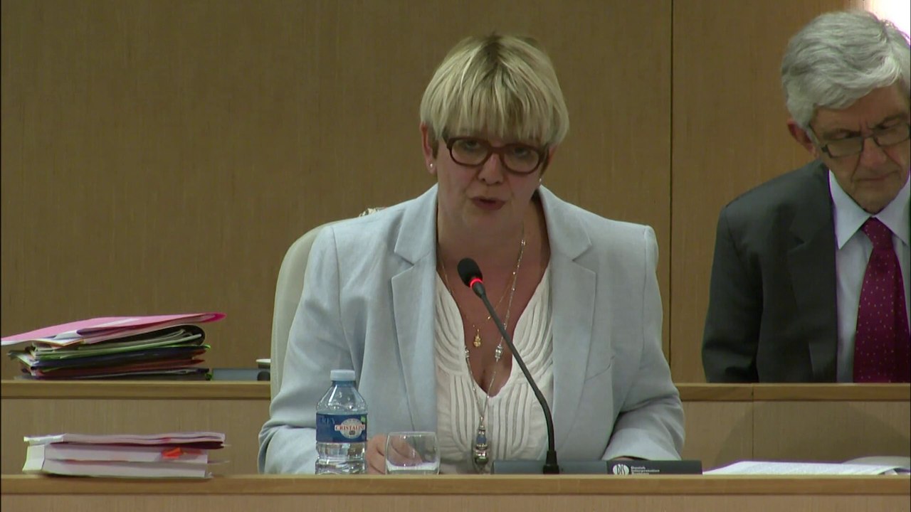 Formations Sanitaires et Sociales - Présentation du rapport, Florence Perrin