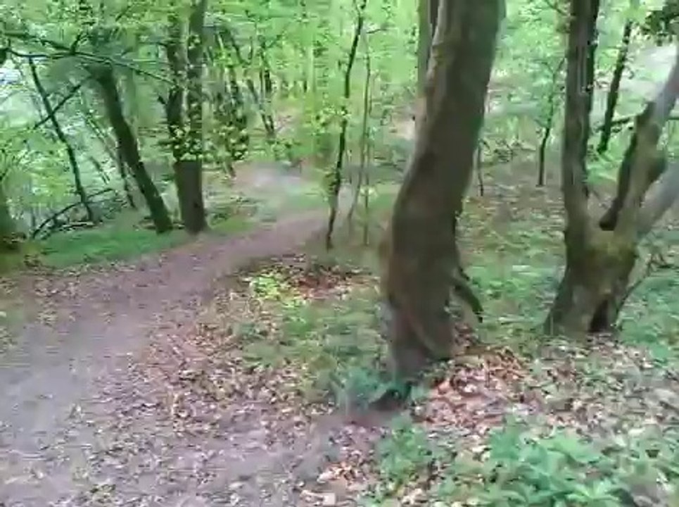 petite descente de foret en 250 quad et moto cross shineray + 200 blaster  (55° de pente)