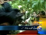 Geo Headlines-17 Apr 2014-1500