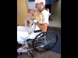 Homeless Brazilian Dog Waits Outside Owner's Hospital for Eight Days