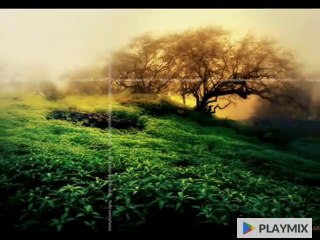 Muhabbat Rog Hai Janaa'n - Urdu Hindi Poetry