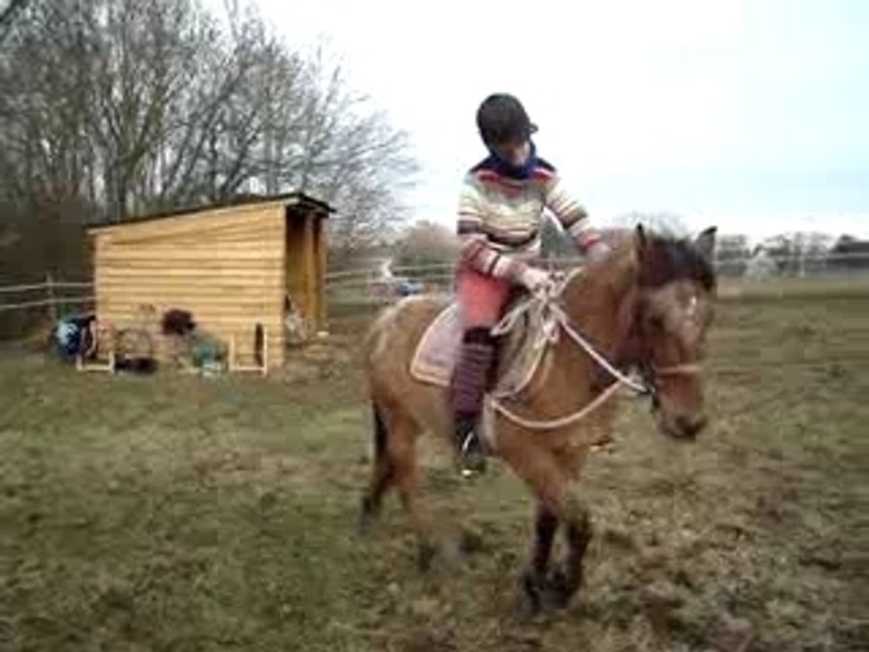 MOV01365