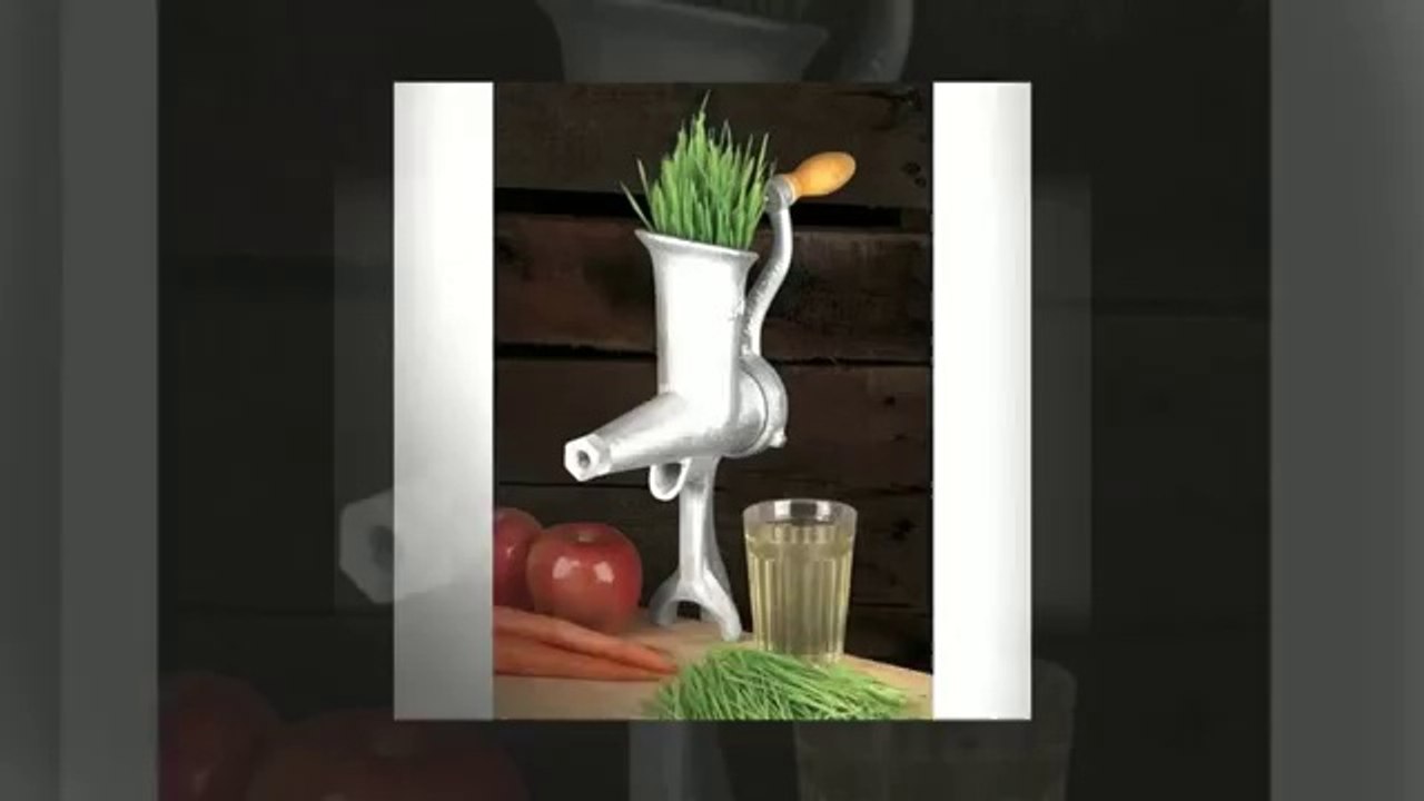 The Best Smoothie Blenders Online