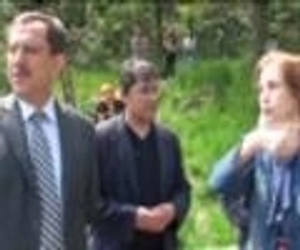 Irmağa giren yunus, ekipleri seferber etti