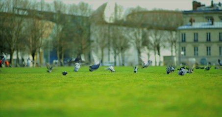 Villette Sonique 2014