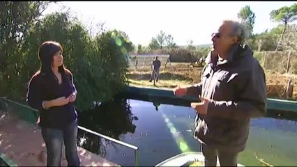 Espai Terra. Dilluns 14 abril