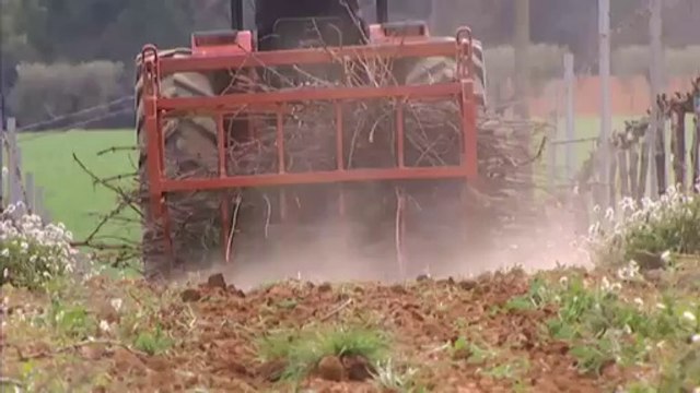 Agricultura, aigua i canvi climàtic