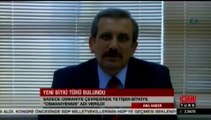 Sakarya Üni. Öğr. Üyesi Doç. Dr. Mehmet Sağıroğlu Osmaniyensis Bitkisini Buldu