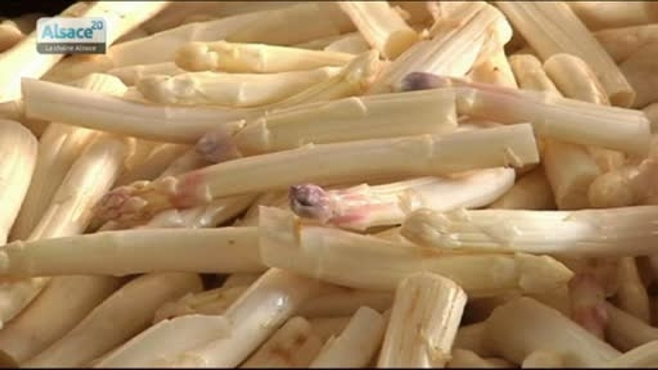 L'asperge, star du mois d'avril !