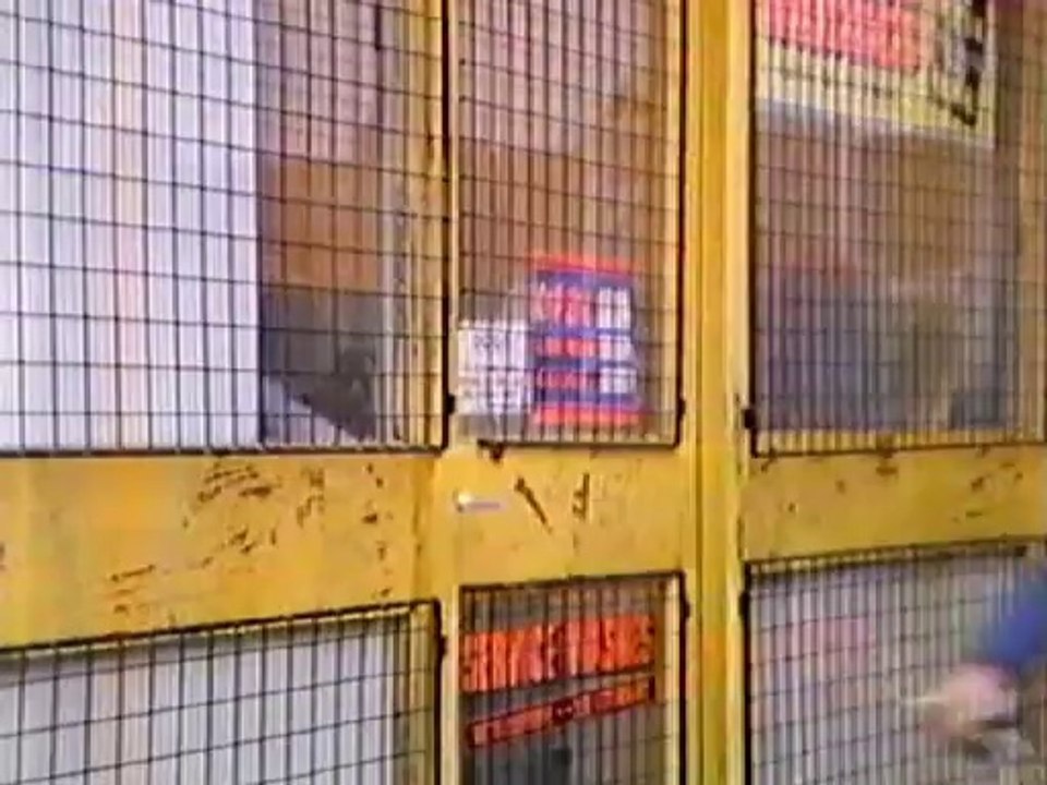 Ep.26 - 16 May 1985