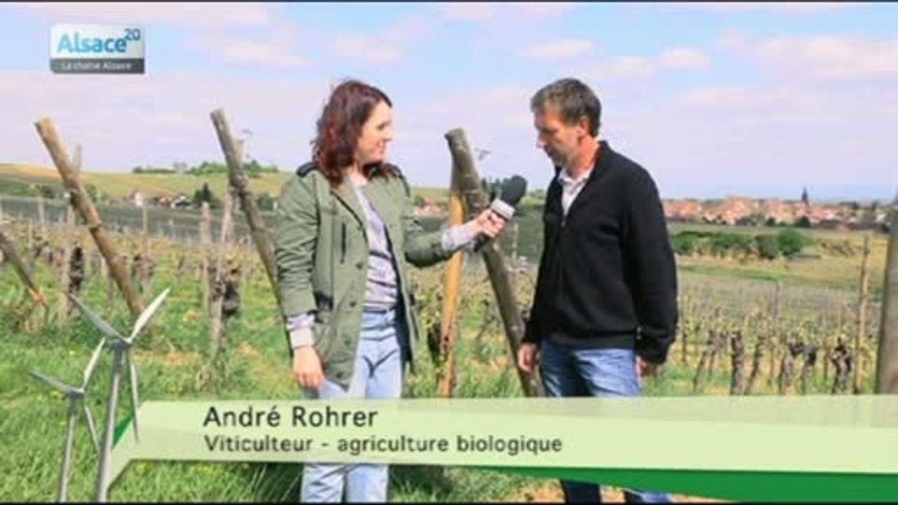 Hebdo DD : Le développement durable en Alsace (16/04/14)