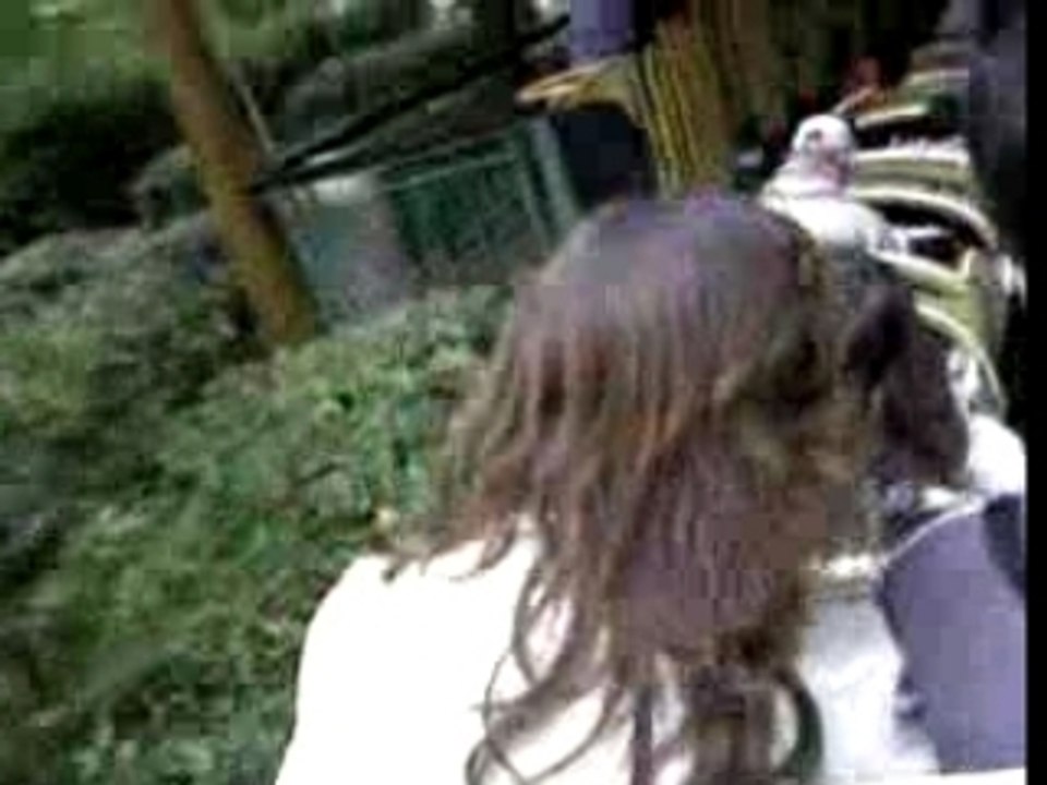 Parc asterix