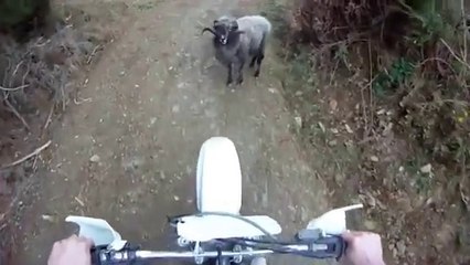Motorsikletlinin Koçla İmtihanı