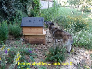 SARREBOURG ! Halte au Couvent St-Ulrich