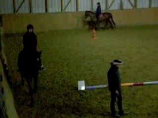 Native et moi au trot