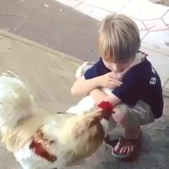 Paha Biçilmez Hayvan Şefkati (Tavukla Kucaklaşma)