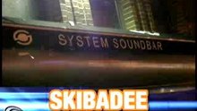 shyfx & skibadee @ system