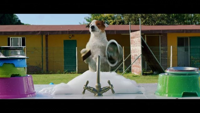 Pancho: El perro millonario - Trailer final