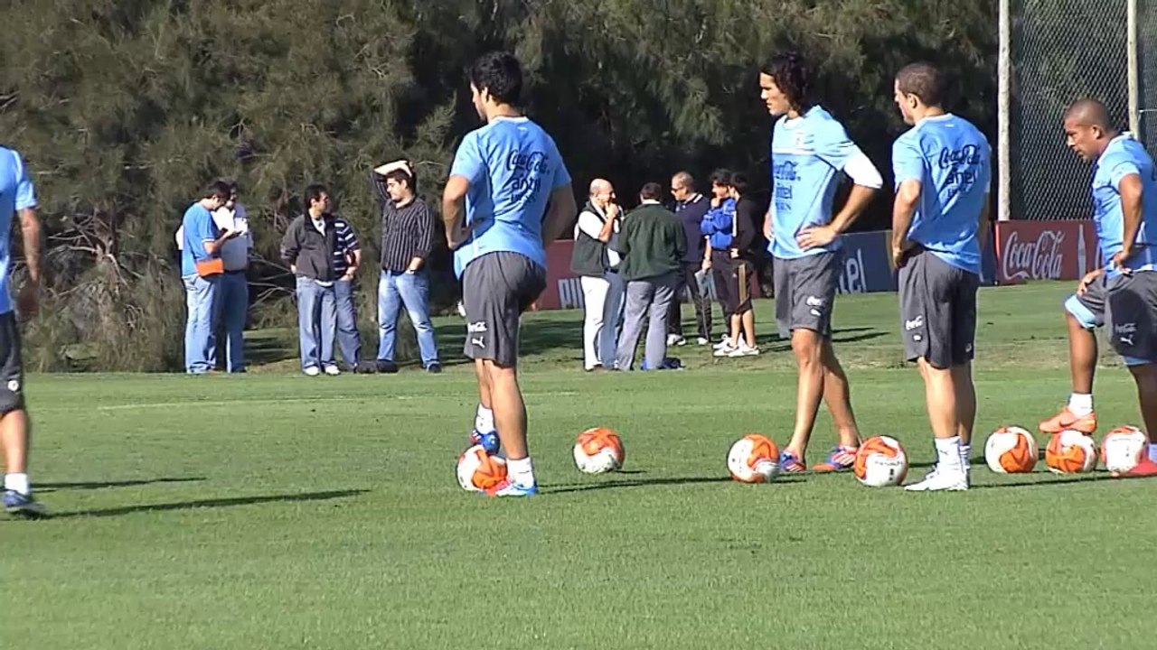 FOOTBALL: CdM 2014 - Cavani et la sélection