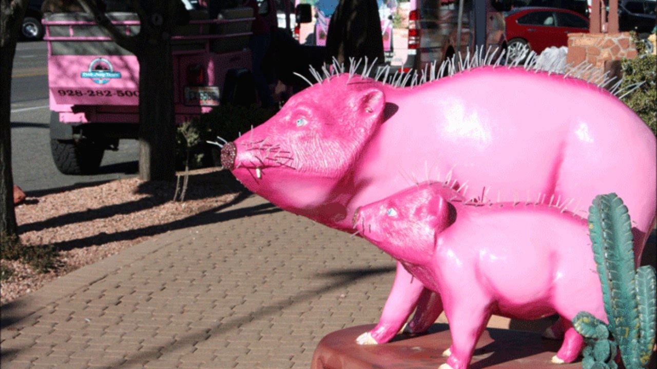 ROAD TRIP OUEST ETATS UNIS FIN 2013 DEBUT 2014 / ARIZONA - SEDONA