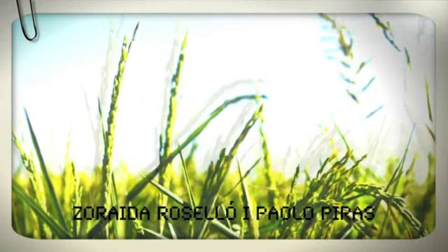 TV3 - 33 recomana - Paisatge motor. Geografies I. Lo Pati. Amposta