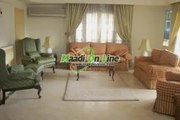 an amazing furnished apartment for rent in degla maadi with a hot price   شقه مفروشه للايجار بدجله المعادي بسعر ممتاز