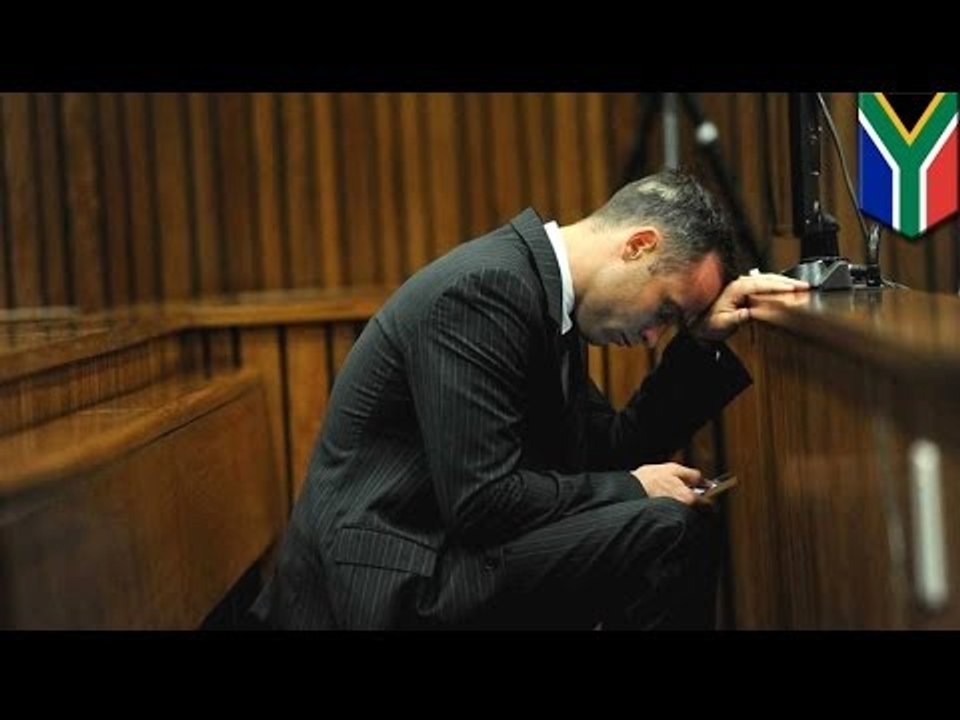 Oscar Pistorius trial: Barry Roux grills police photographer Van Staden
