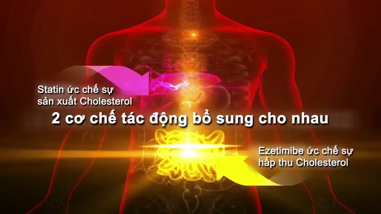 sản xuất tvc quảng cáo - City Land