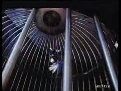 Vanessa Paradis - Publicité Coco Chanel