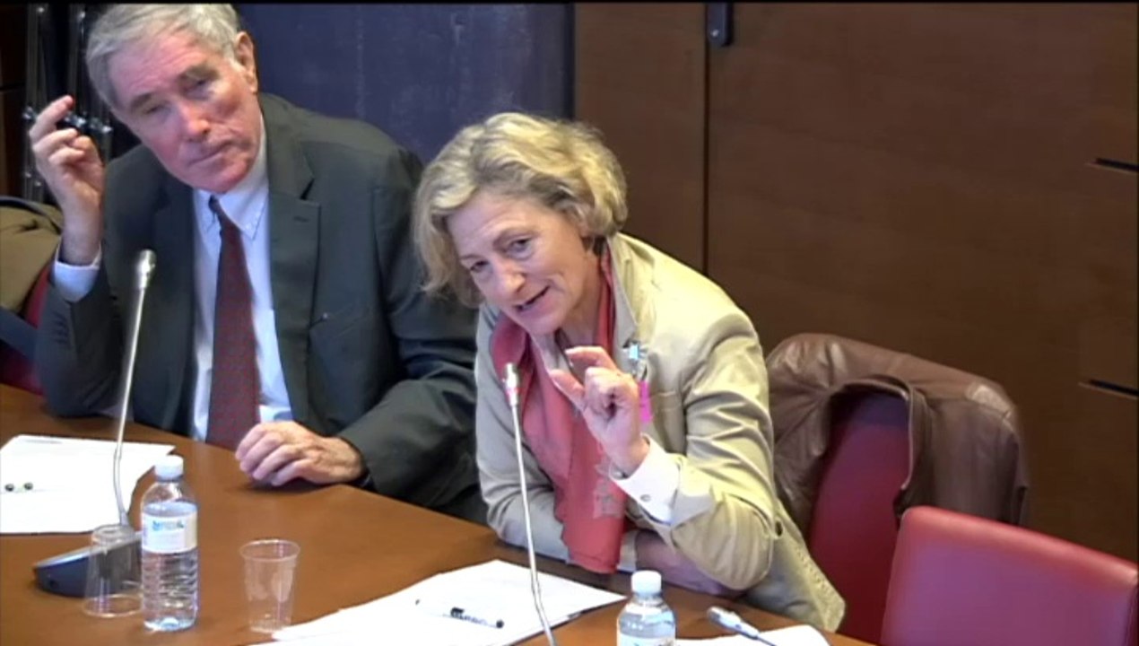 Audition de Mme Bernadette Devistor, pdte Conférence nationale de santé et de M. Sylvain Denis, Comité national des retraités et personnes âgées  - Jeudi 17 Avril 2014