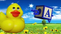 ABC Songs for Children ABCD Song in Alphabet Phonics Songs & Nursery Rhymes for Toddlers