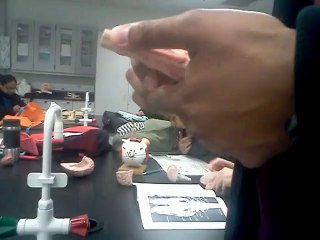 nervous system part 2