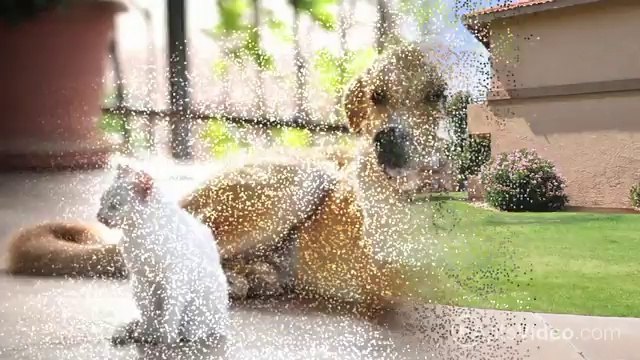 Estancia Homes Apartments in Desert Hot Springs, CA - ForRent.com