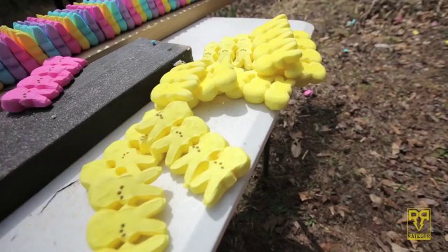 Shot eggs and rabbits with Sniper riffle! Slow motion...