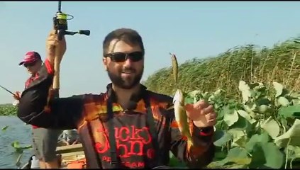 Дельта Волги. Ловля на воблеры. ч1