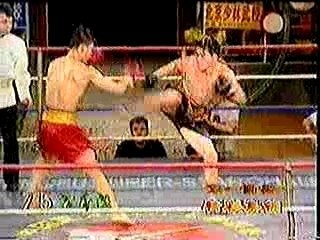 Sanda Wang (SanShou Highlights) Kung Fu