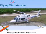 Flying Birds Aviation-Air Charter Company in India