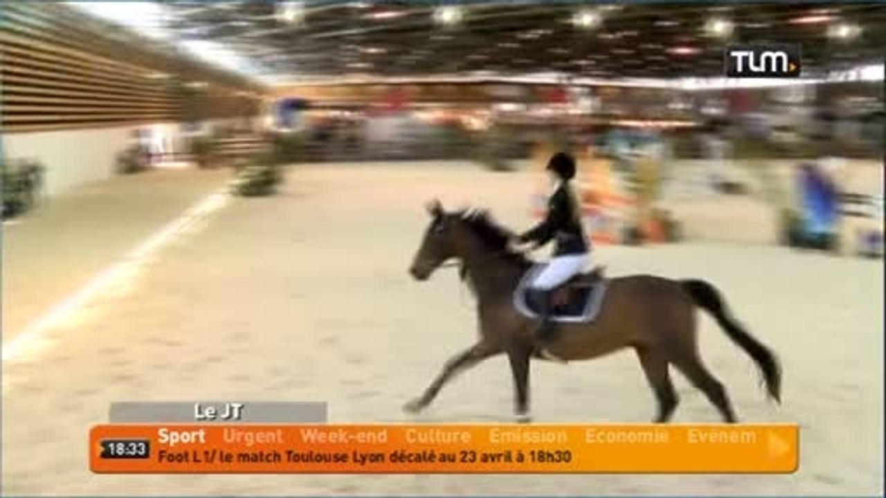 Equitation: coupe du monde de dressage à Lyon