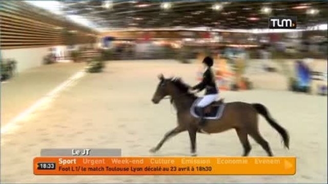 Equitation: coupe du monde de dressage à Lyon